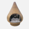 19040-NEST
