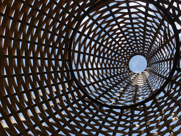 19040-NEST